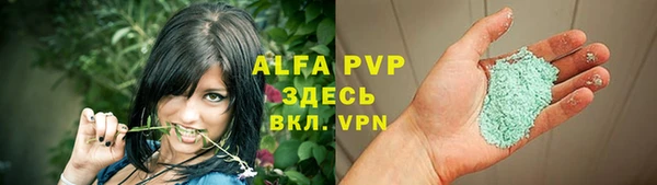 индика Аркадак