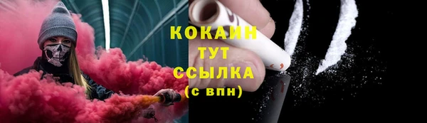 индика Аркадак
