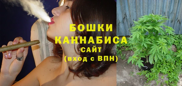 молекула духа Сосновый Бор