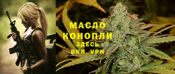 индика Аркадак