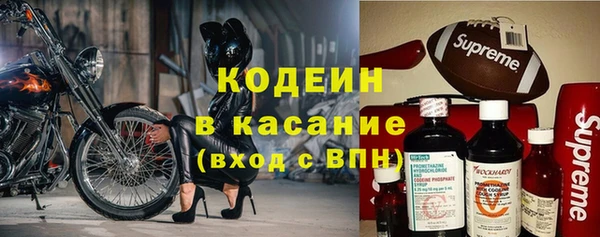 индика Аркадак
