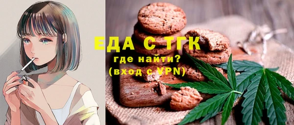 индика Аркадак
