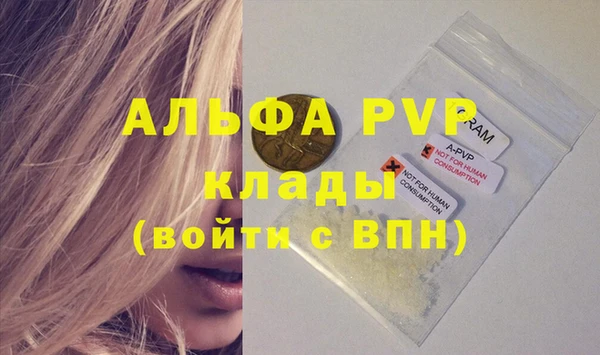 индика Аркадак