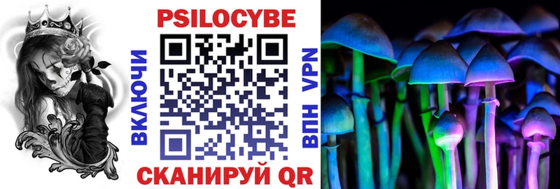 Галлюциногенные грибы Psilocybine cubensis Ишимбай